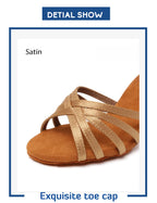 Latin Dance Shoes Women Suede Soles Tango Indood Dancing Shoes Cuban Heels Party High Heel Ballroom Dance Shoes Wholesale